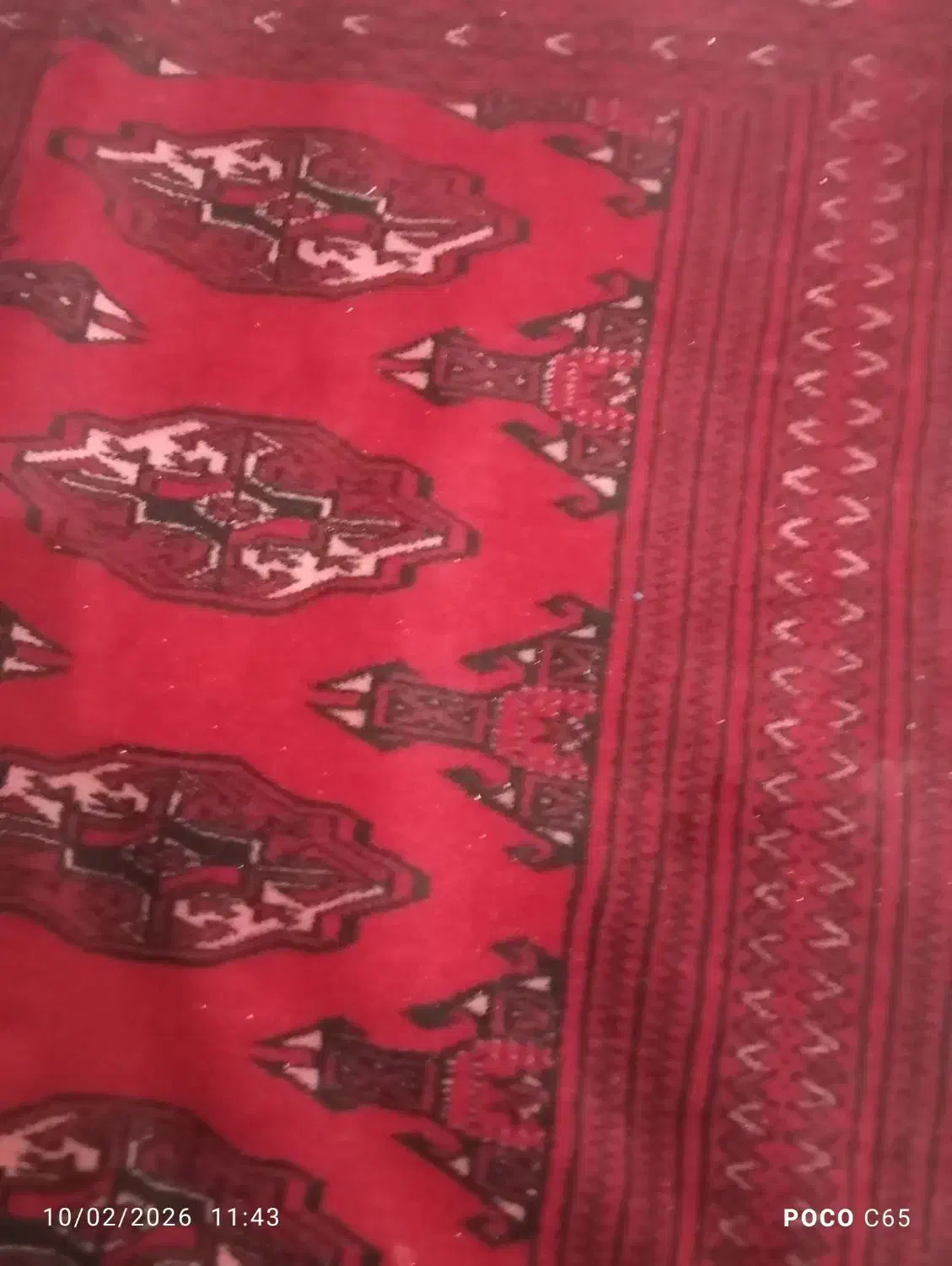 فرش ترکمنی|فرش|گرگان, |دیوار