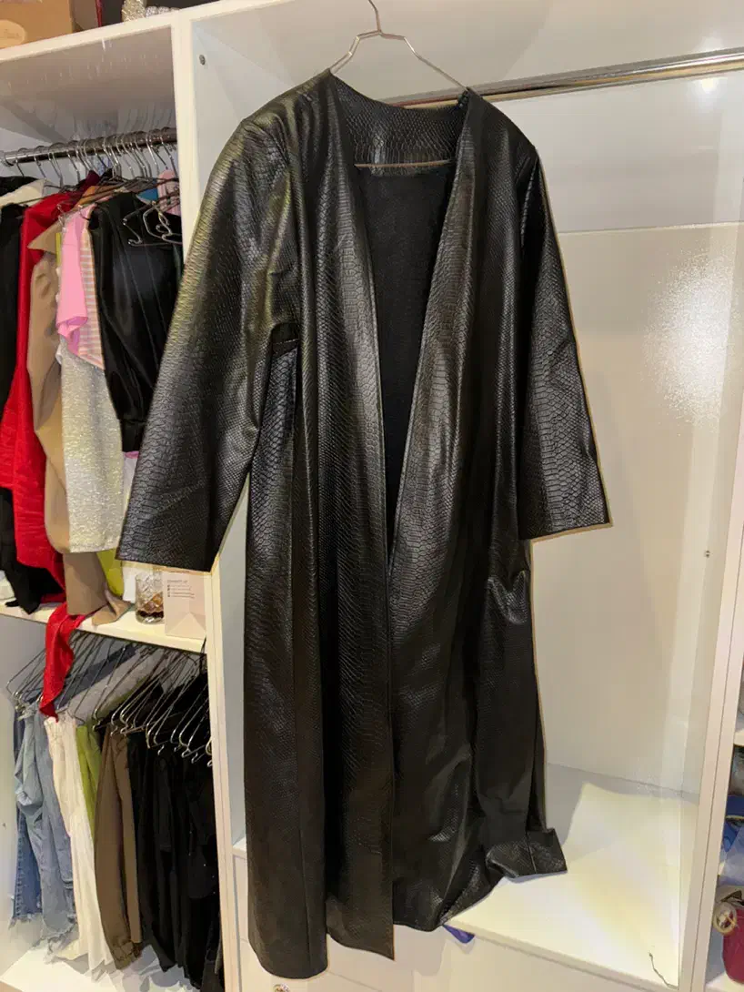 پالتو بارانی کت چرمشلوار شومیز مانتو پبراهن|لباس|تهران, تهرانپارس غربی|دیوار