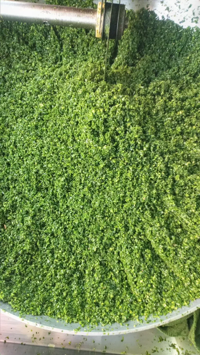 سبزی قورمه وکوکووآش وپلویی وشوید|خوردنی و آشامیدنی|اسلامشهر, شهرک محمدیه|دیوار