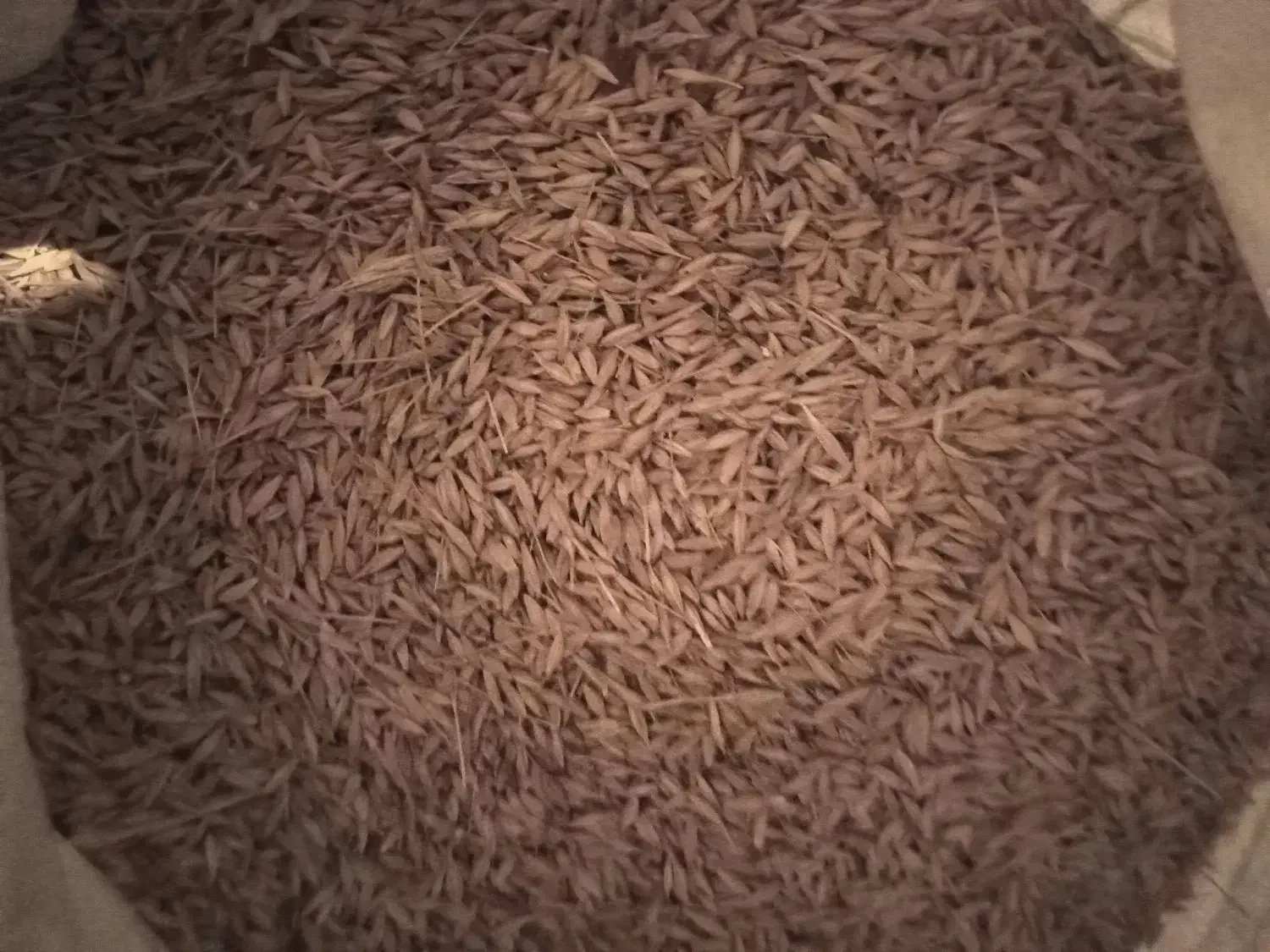 جو کیسه ای|لوازم جانبی حیوانات|گمیشان, |دیوار