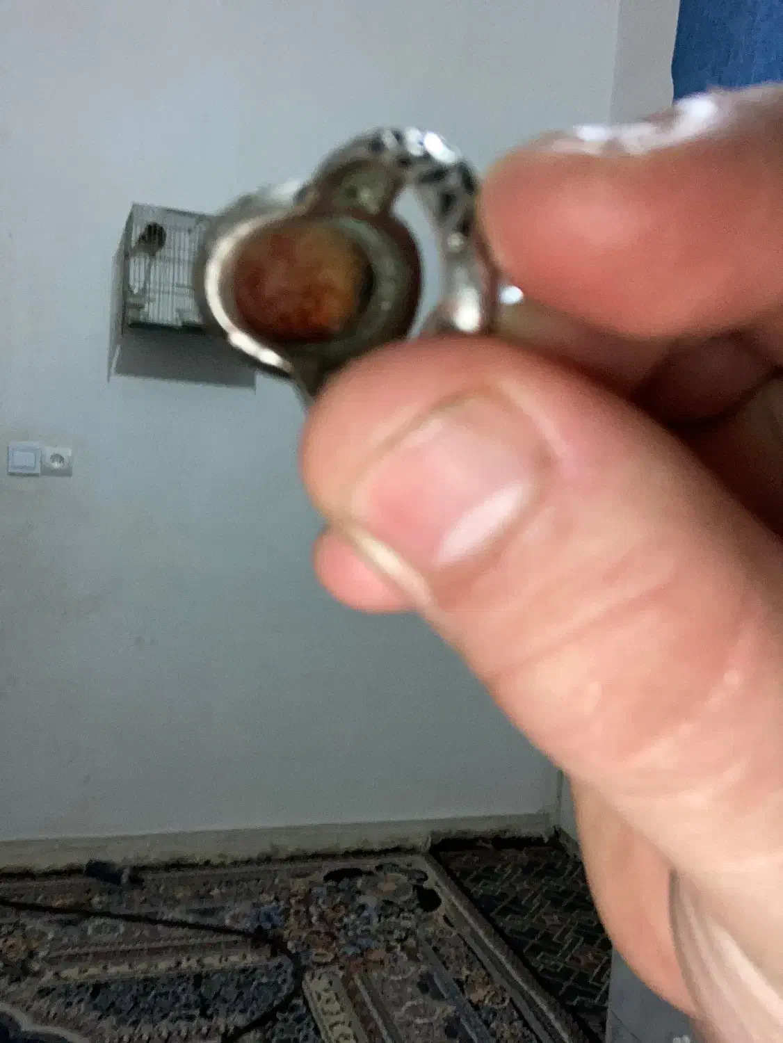 انگشتر|کلکسیون اشیاء عتیقه|فشاپویه, |دیوار