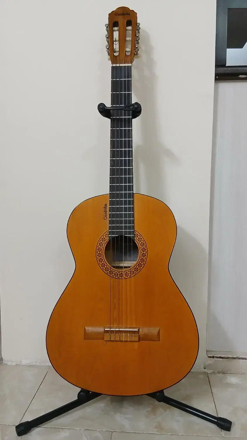 گیتار Cordoba C1|گیتار، بیس، امپلیفایر|تهران, نعمتآباد|دیوار