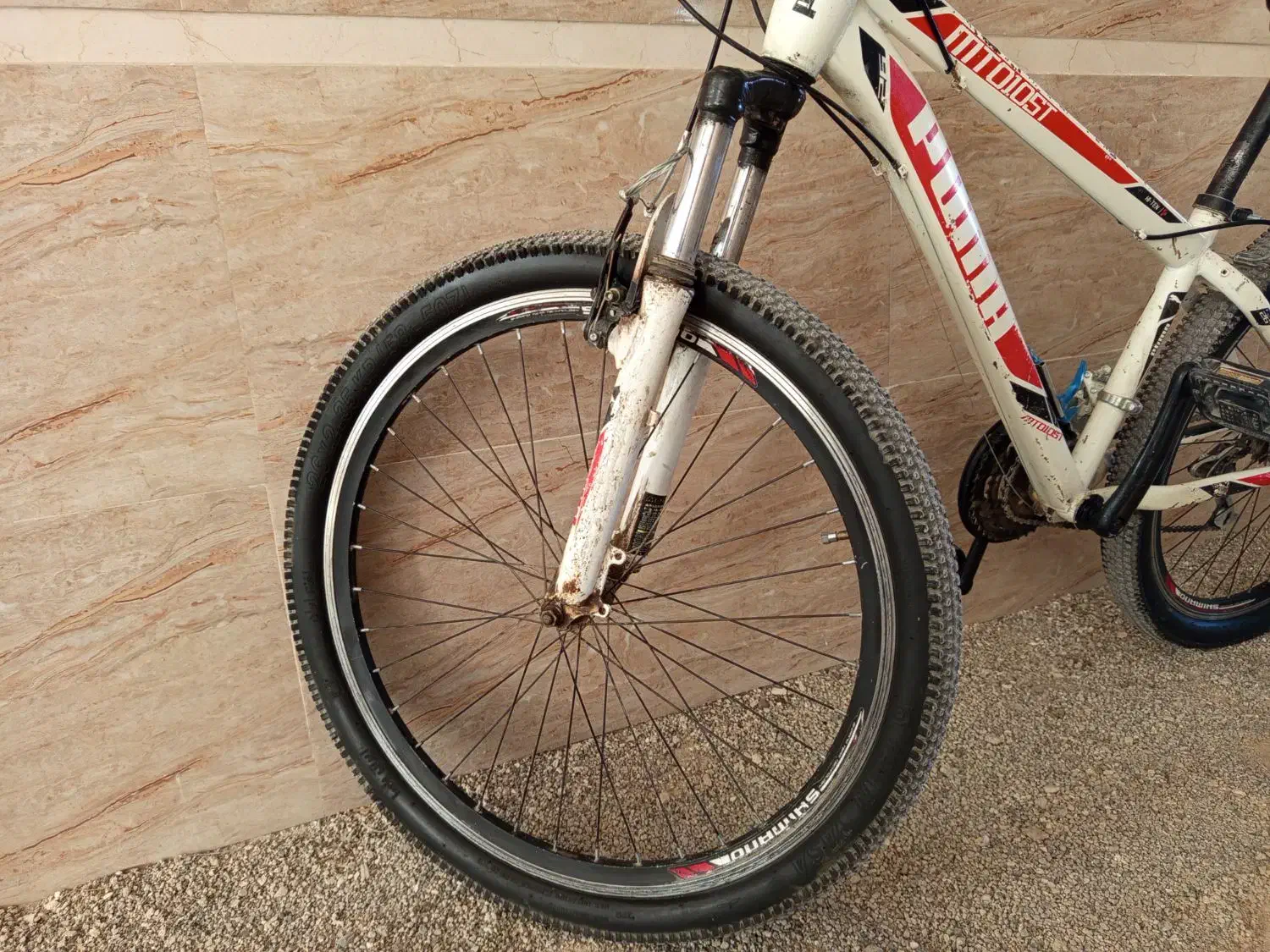 دوچرخه ۲۶ پوما حرفه ای|دوچرخه، اسکیت، اسکوتر|ایلام, |دیوار