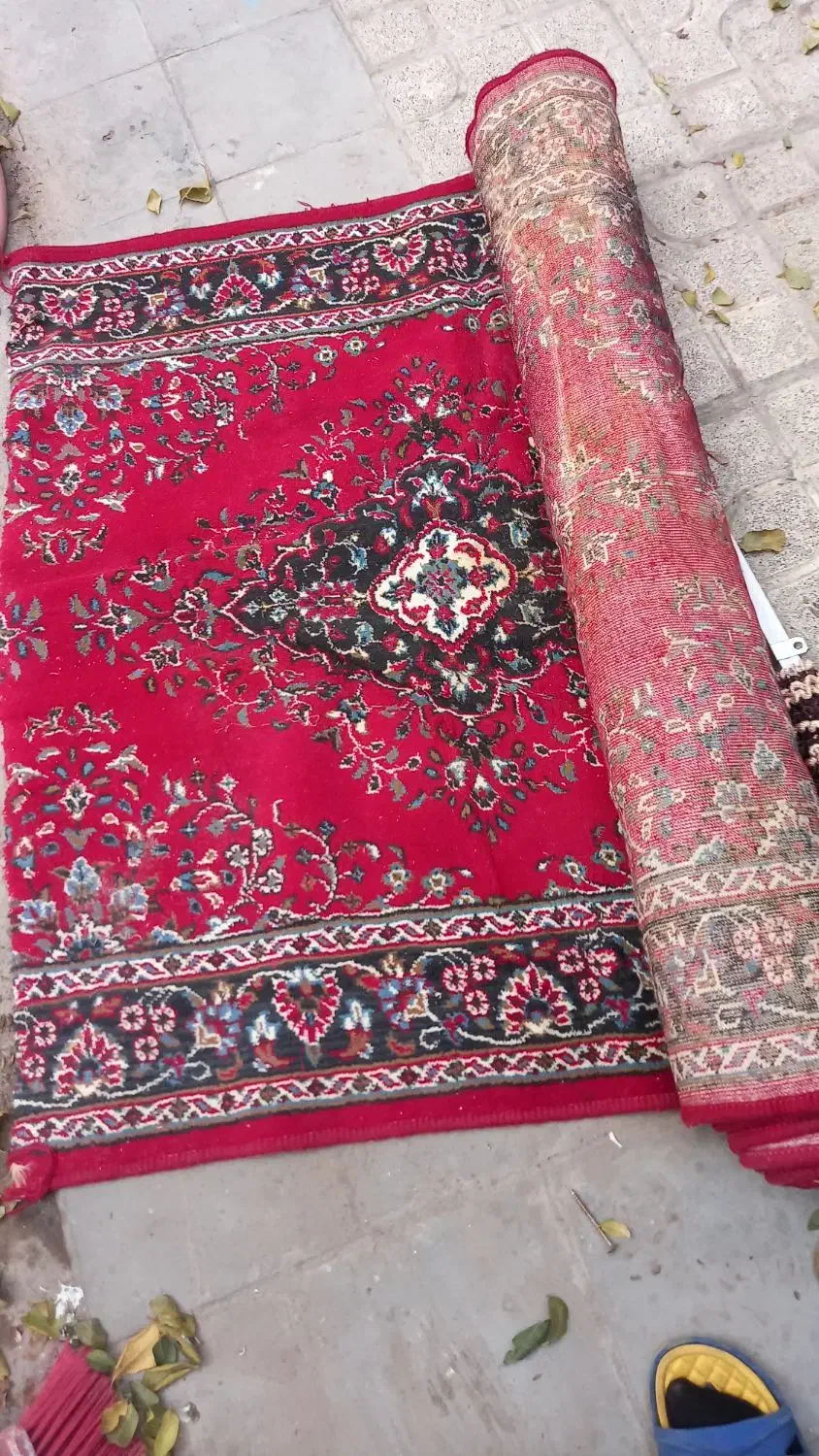 کناره|فرش|مشهد, آیت الله کاشانی|دیوار