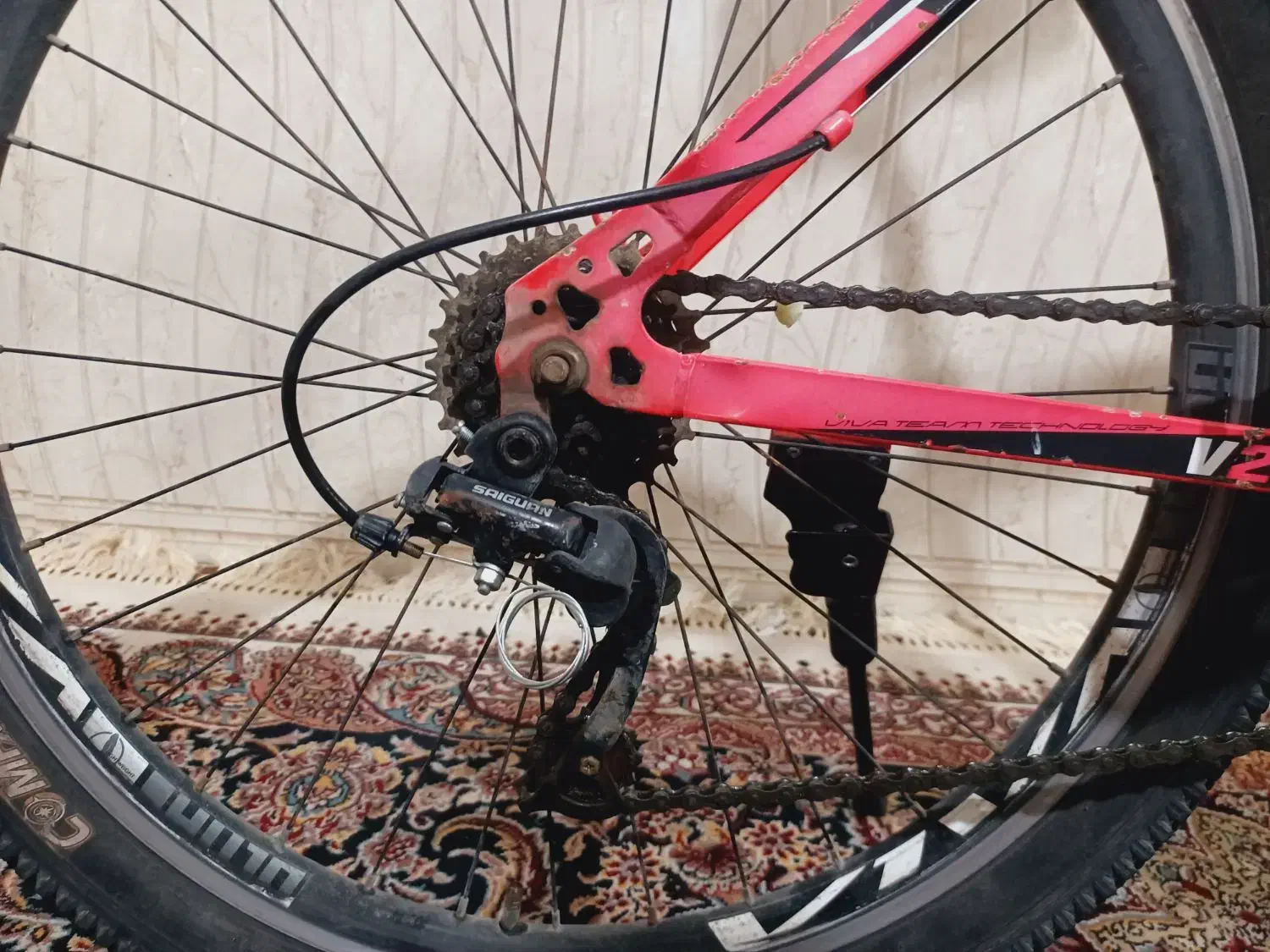 دوچرخه ویوا ۲۶|دوچرخه، اسکیت، اسکوتر|رامهرمز, |دیوار