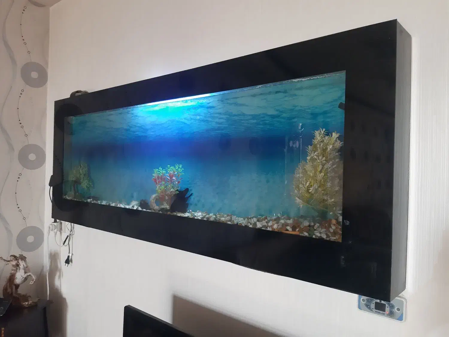 آکواریوم دیواری|ماهی|پیر بکران, |دیوار