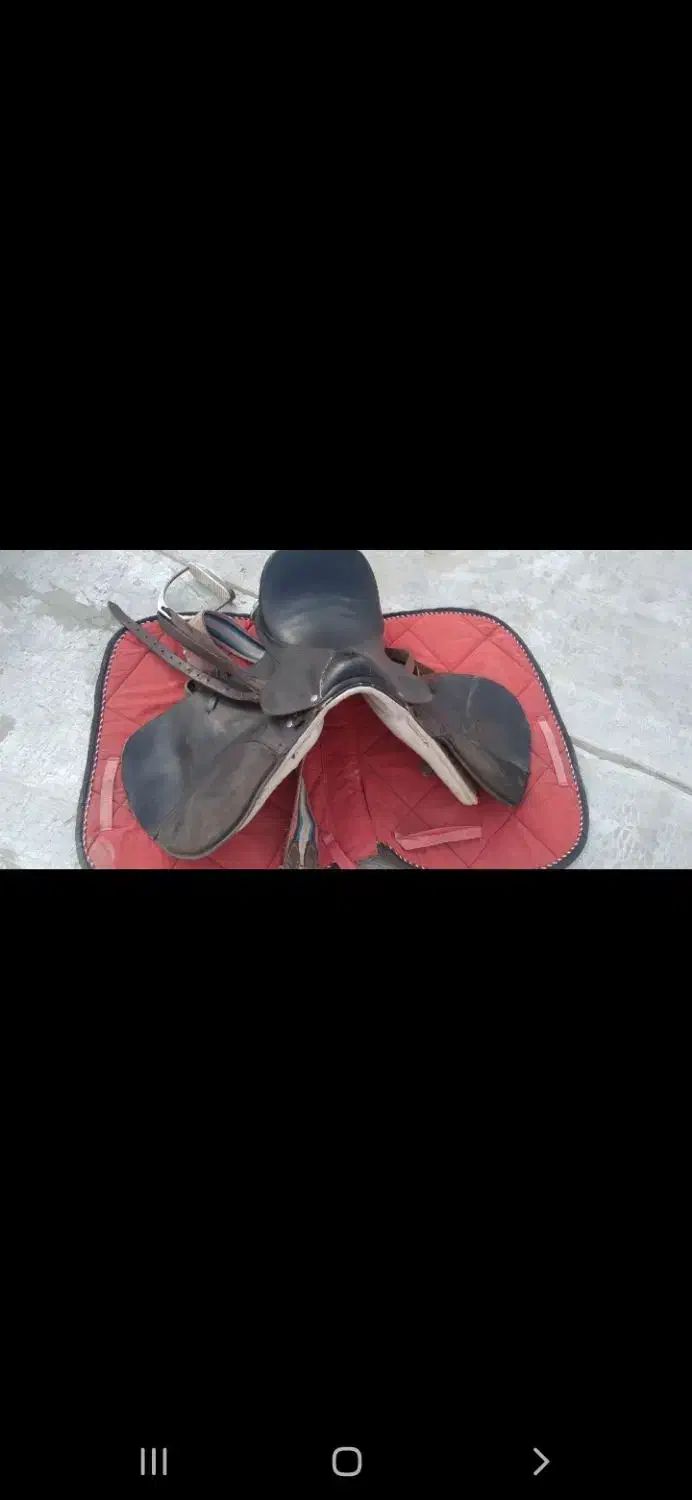 زین وعرق گیر اسب|اسب و تجهیزات اسب‌سواری|بجنورد, |دیوار