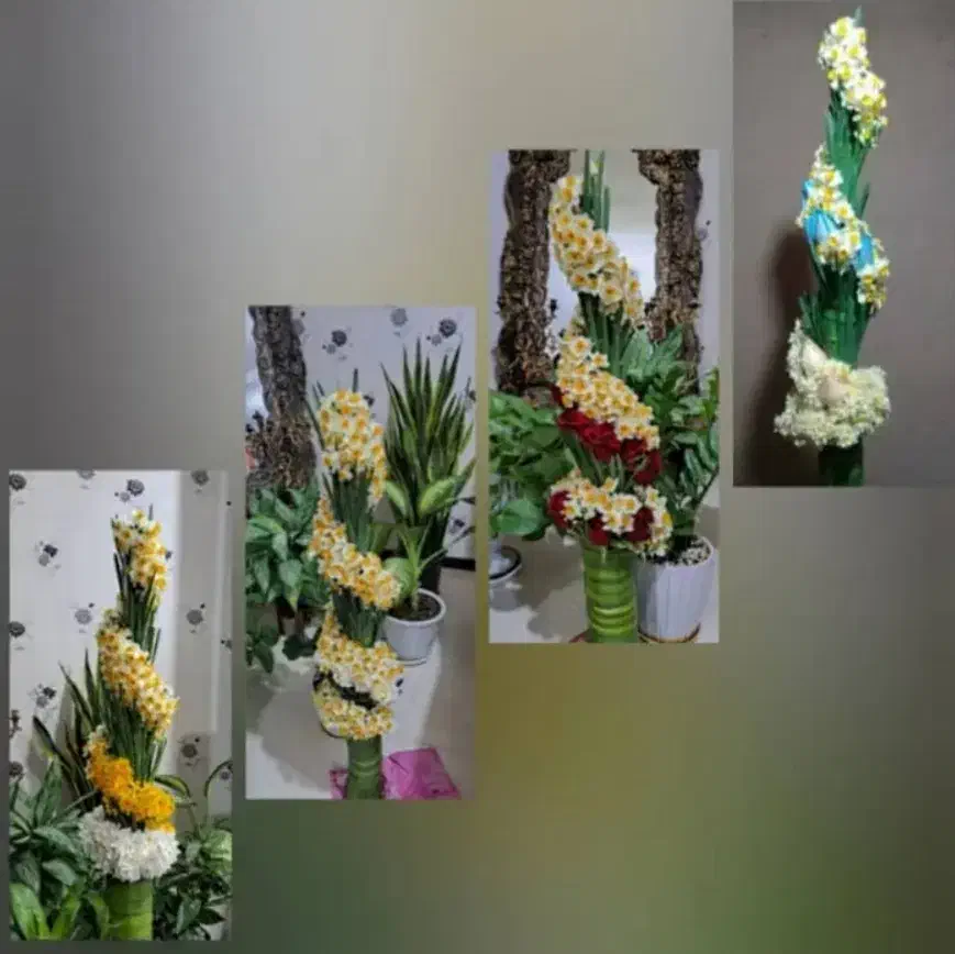 گل نرگس خفر|گل و گیاه طبیعی|شیراز, بازار|دیوار