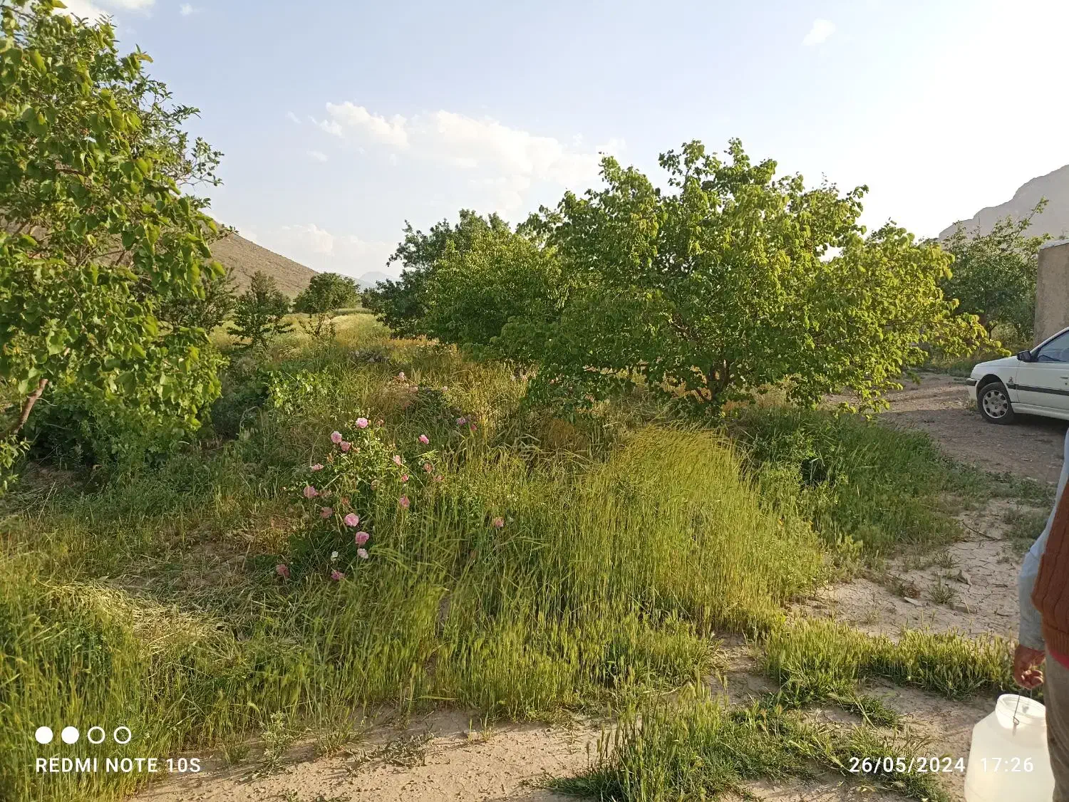 فروش یک قطعه باغ|فروش دفتر صنعتی، کشاورزی، تجاری|خمین, |دیوار