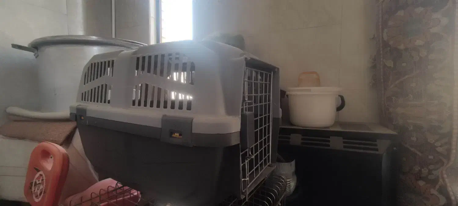 باکس سگ خونه سگ لانه سگ خانه لونه اکبند|لوازم جانبی حیوانات|اصفهان, کوی نرگس|دیوار