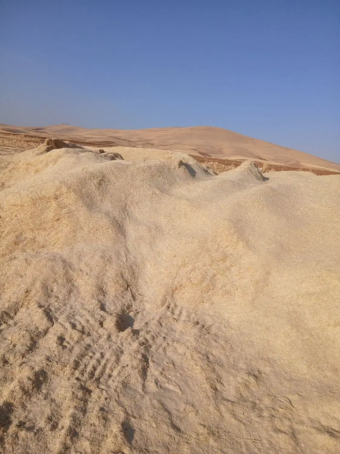 کاه|لوازم جانبی حیوانات|روانسر, |دیوار