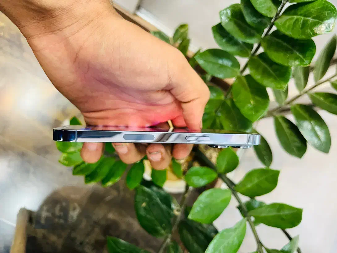 اپل iPhone 13 Pro با حافظهٔ 128 گیگابایت|موبایل|قدس, شهر‌قدس|دیوار