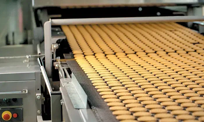 جذب نیرو|استخدام صنعتی، فنی، مهندسی|تربتحیدریه, رجایی|دیوار