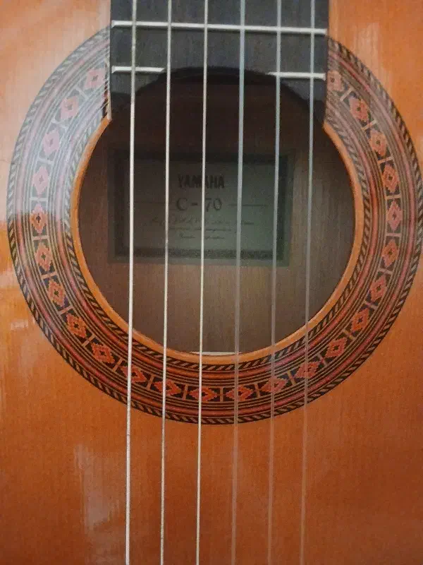 گیتار|گیتار، بیس، امپلیفایر|شیراز, کوی قضات|دیوار