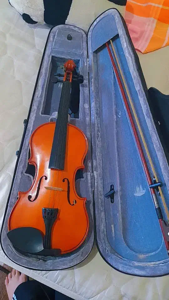 ویولن رناتو 220 همراه لوازم جانبی|ویولن|همدان, |دیوار
