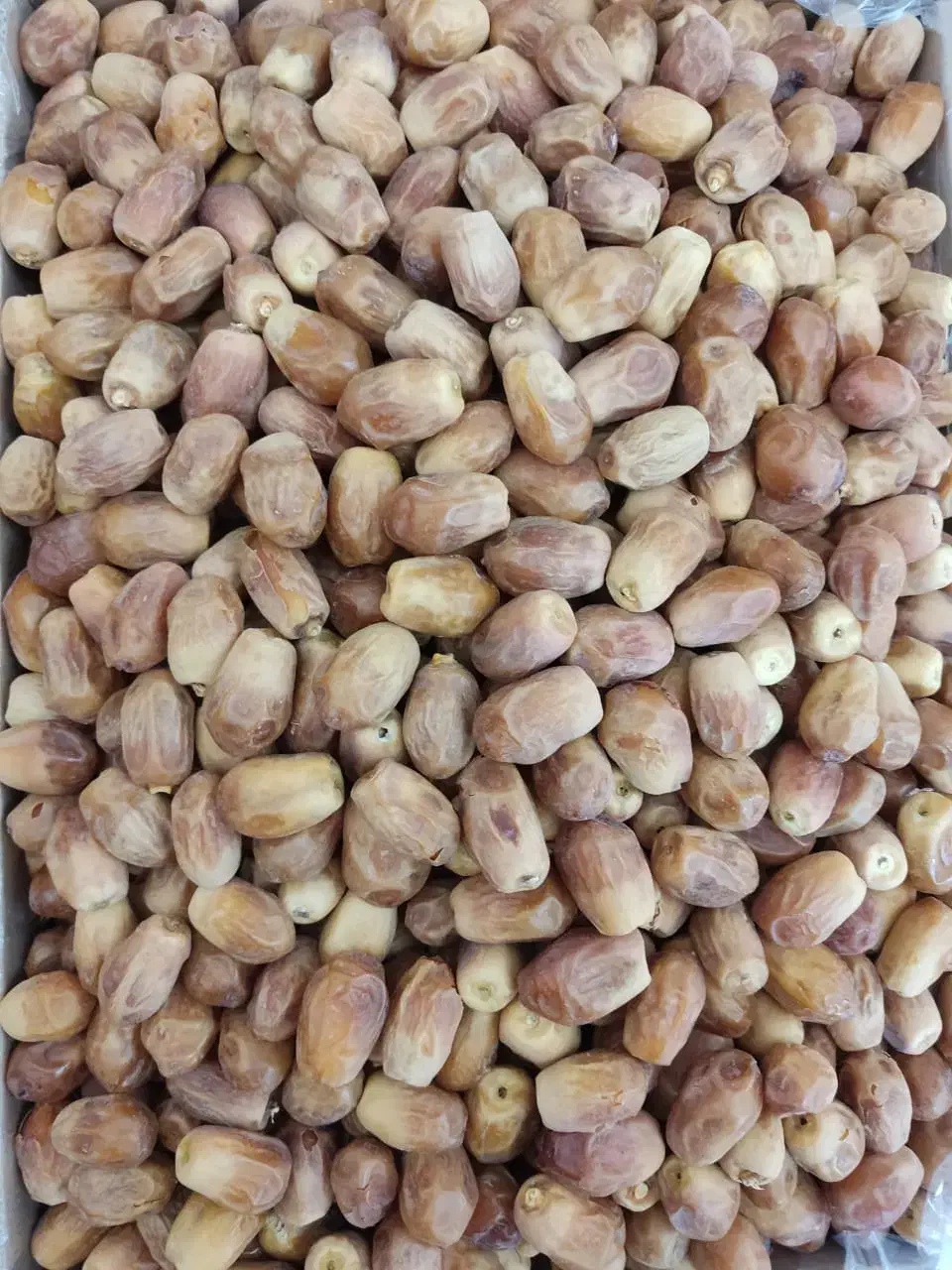 نیرو خانم قصب «خرمای زاهدی»|استخدام صنعتی، فنی، مهندسی|جهرم, |دیوار