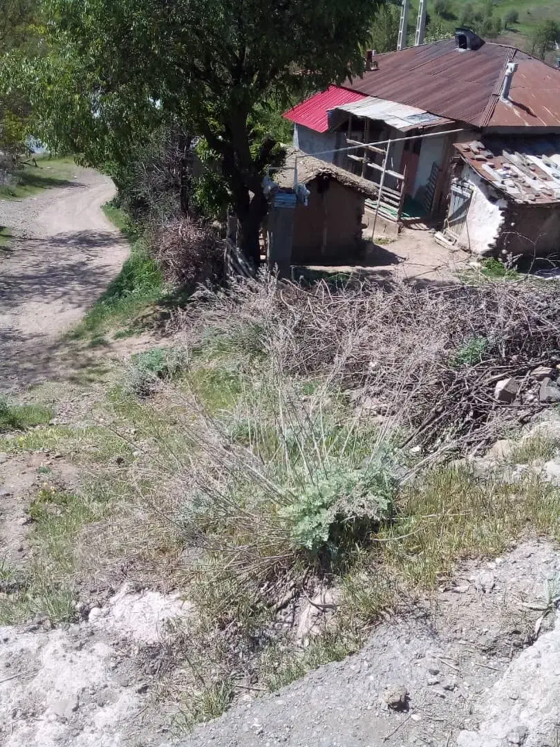 ویلا قدیمی ۶۰۰متری باامتیازات منطقه کوهپایه دیلمان|فروش خانه و ویلا|رشت, بلوار گیلان|دیوار