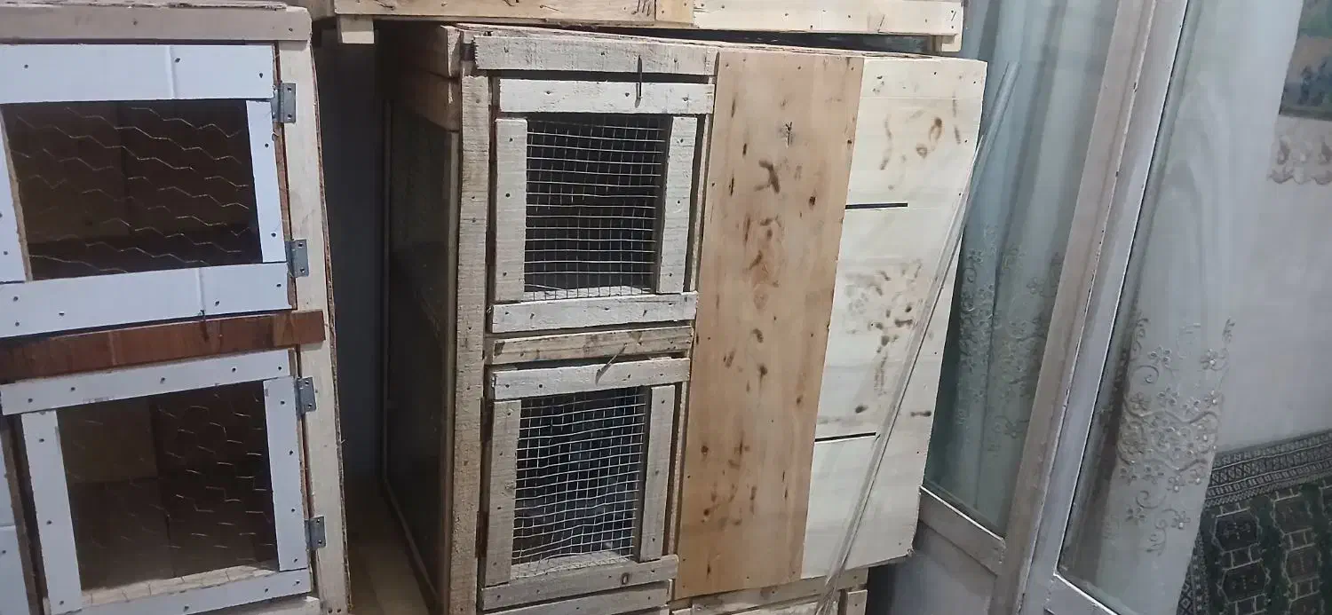 جفت کنی کبوتر|لوازم جانبی حیوانات|ساوه, |دیوار