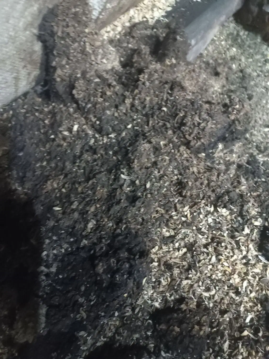 نیازمند کارگر ساده|استخدام صنعتی، فنی، مهندسی|کیار, |دیوار