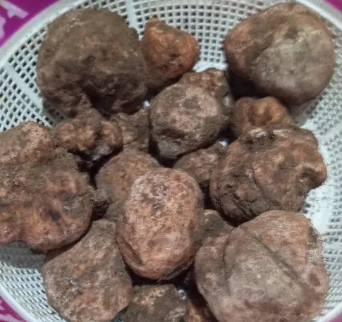 دنبلان|خوردنی و آشامیدنی|اهر, |دیوار