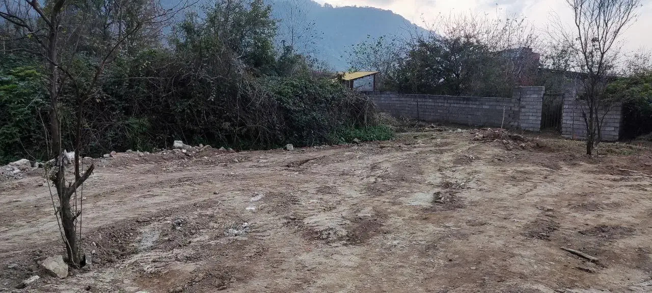 فروش زمین مسکونی|فروش زمین و ملک کلنگی|لاهیجان, لیالستان|دیوار