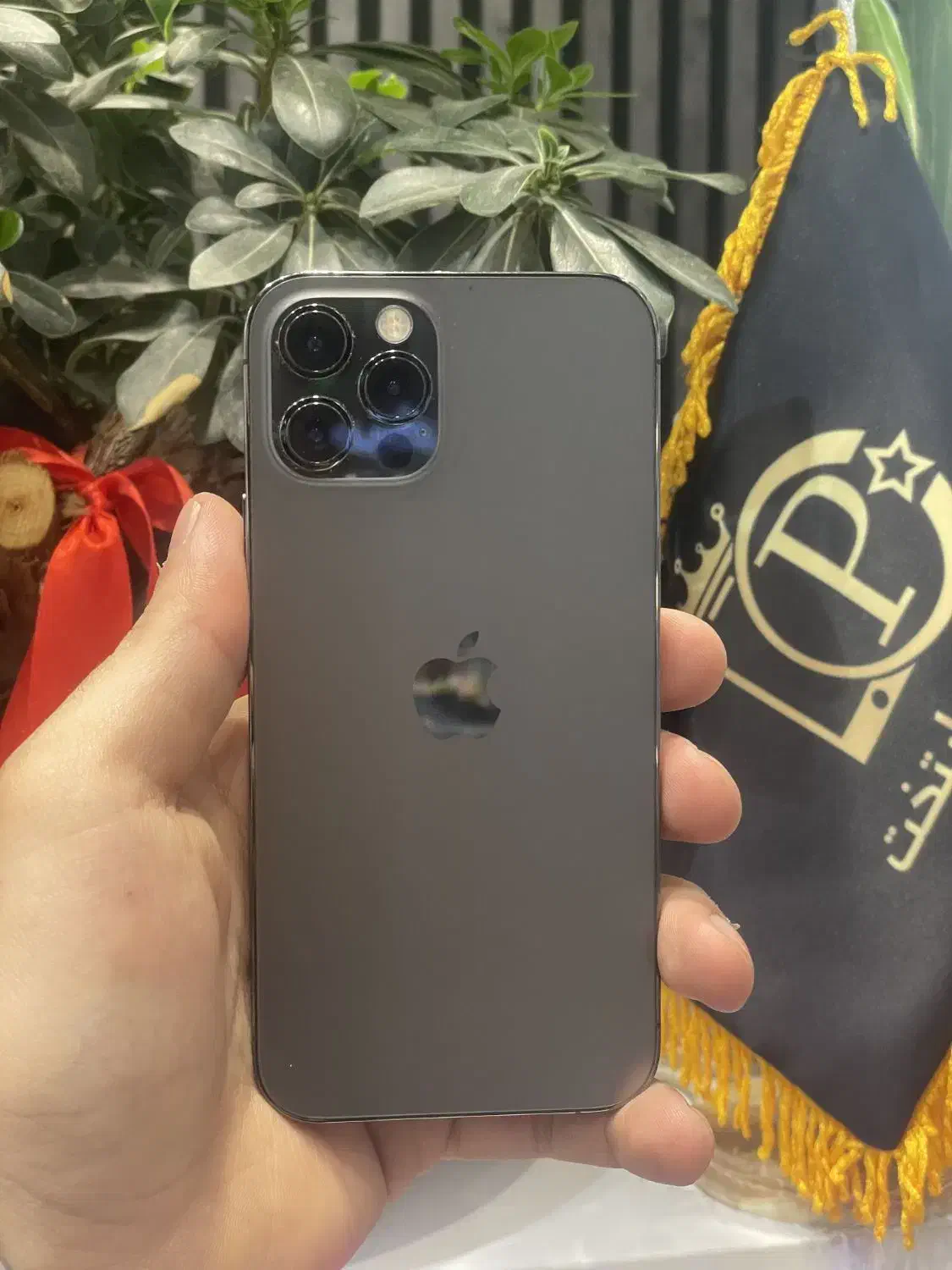 Iphone 12 Pro|موبایل|مشهد, طلاب|دیوار