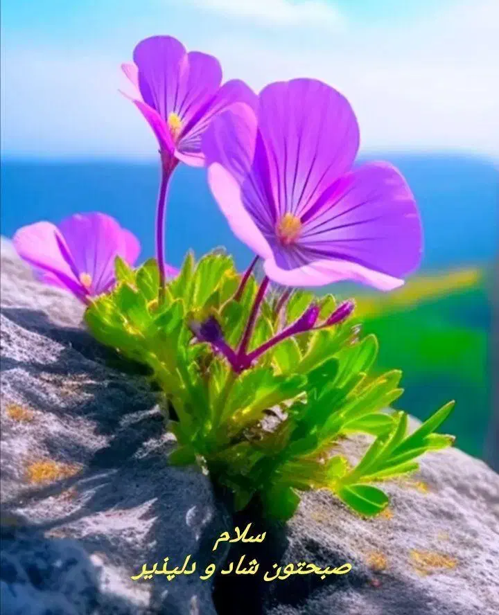 خر یدار وام ازدواج|خدمات مالی، حسابداری، بیمه|شاندیز, |دیوار