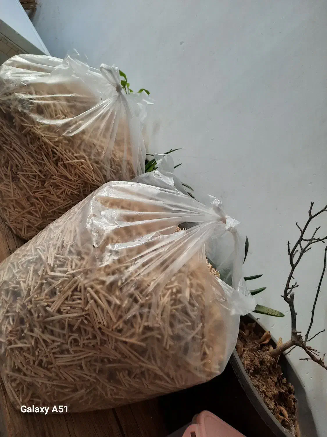 رشته پلویی و رشته ی آش تازه|عمدهفروشی|مرند, |دیوار