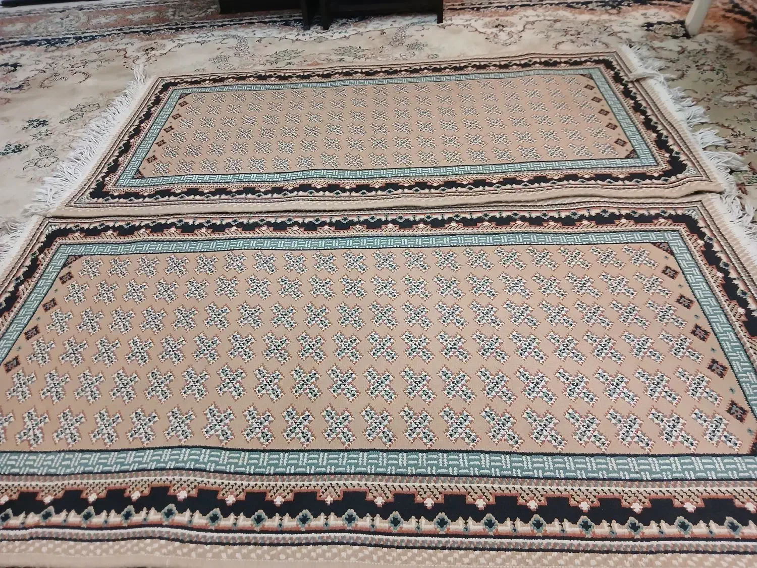 پادری|پادری|تهران, شهرک شریعتی|دیوار