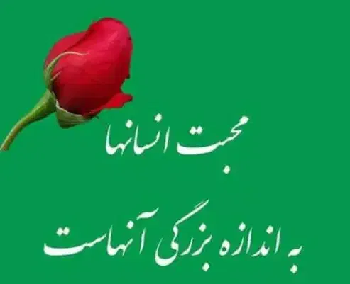 کمک رایگان به کسب وکارهای مواد غذایی|فعالیت داوطلبانه|اسلام‌شهر, زرافشان|دیوار