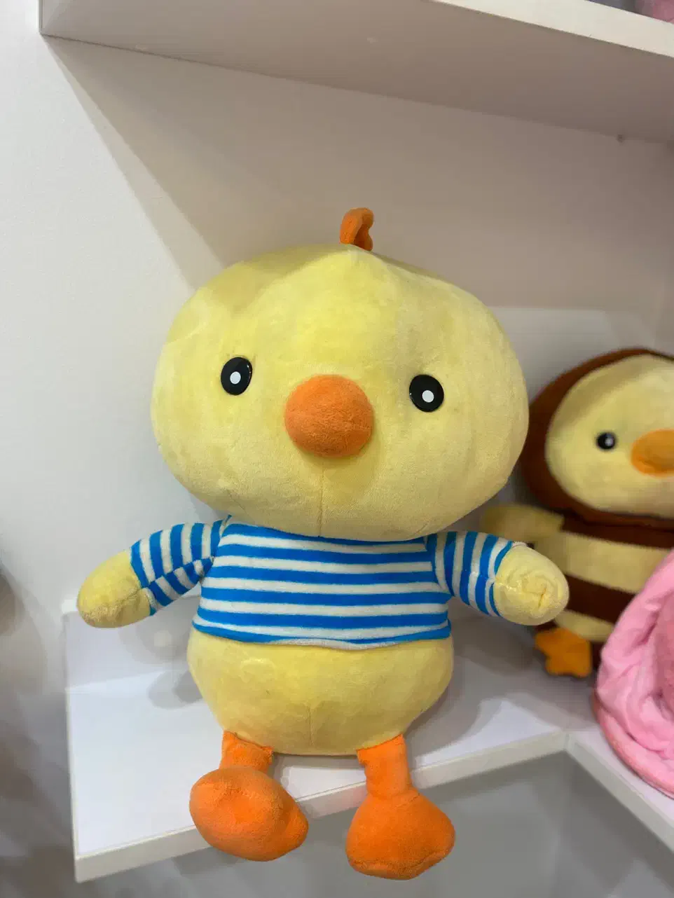 عروسک|اسباب‌بازی بچه|ساری, |دیوار