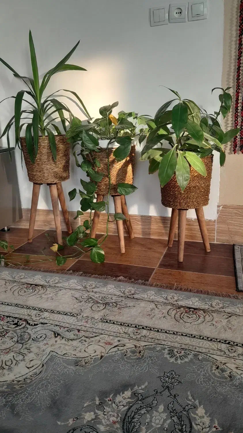 زیرگلدان|صنایع دستی و سایر لوازم تزئینی|قیدار, |دیوار