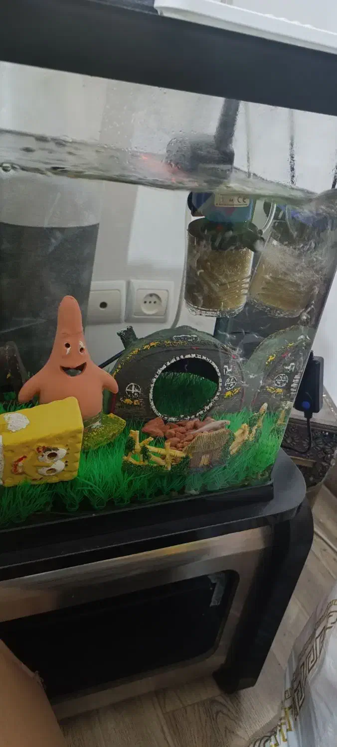 آکواریوم سالم در حد نو|ماهی|کومله, |دیوار