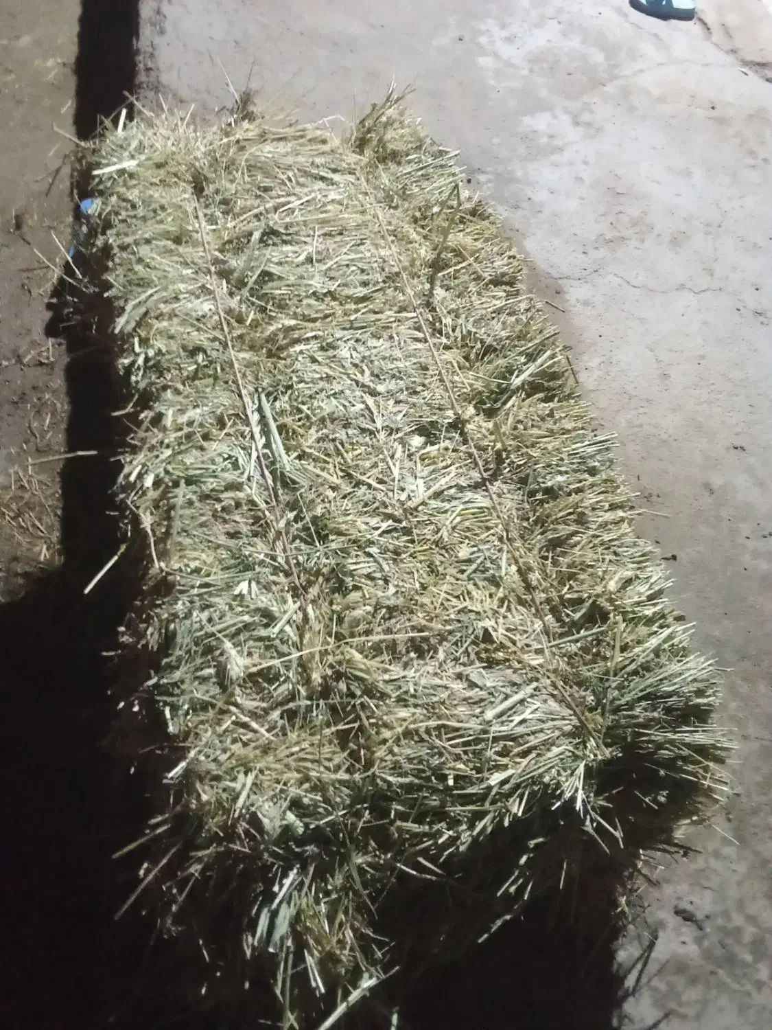 20باغ|گل و گیاه طبیعی|سراب, |دیوار