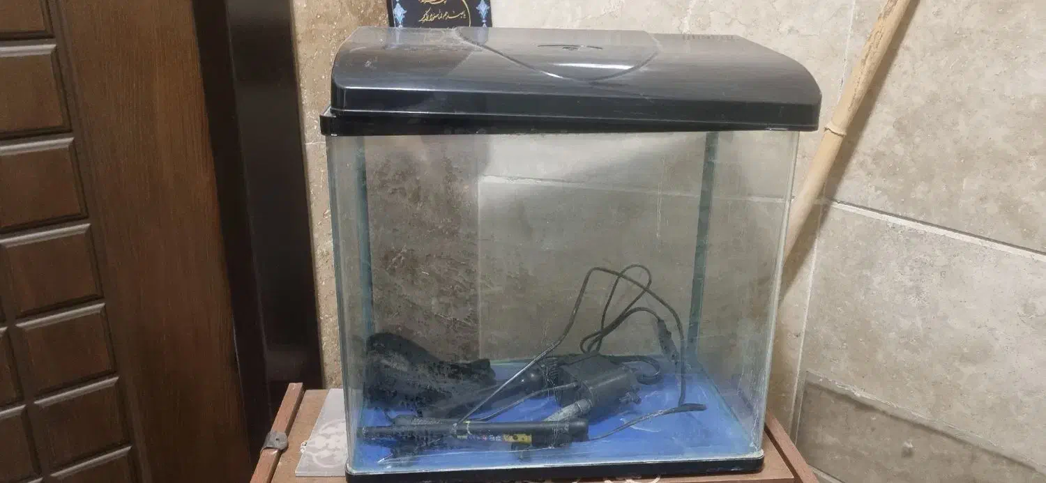 آکواریوم شیشه خم|ماهی|ری, منصوریه منگل|دیوار