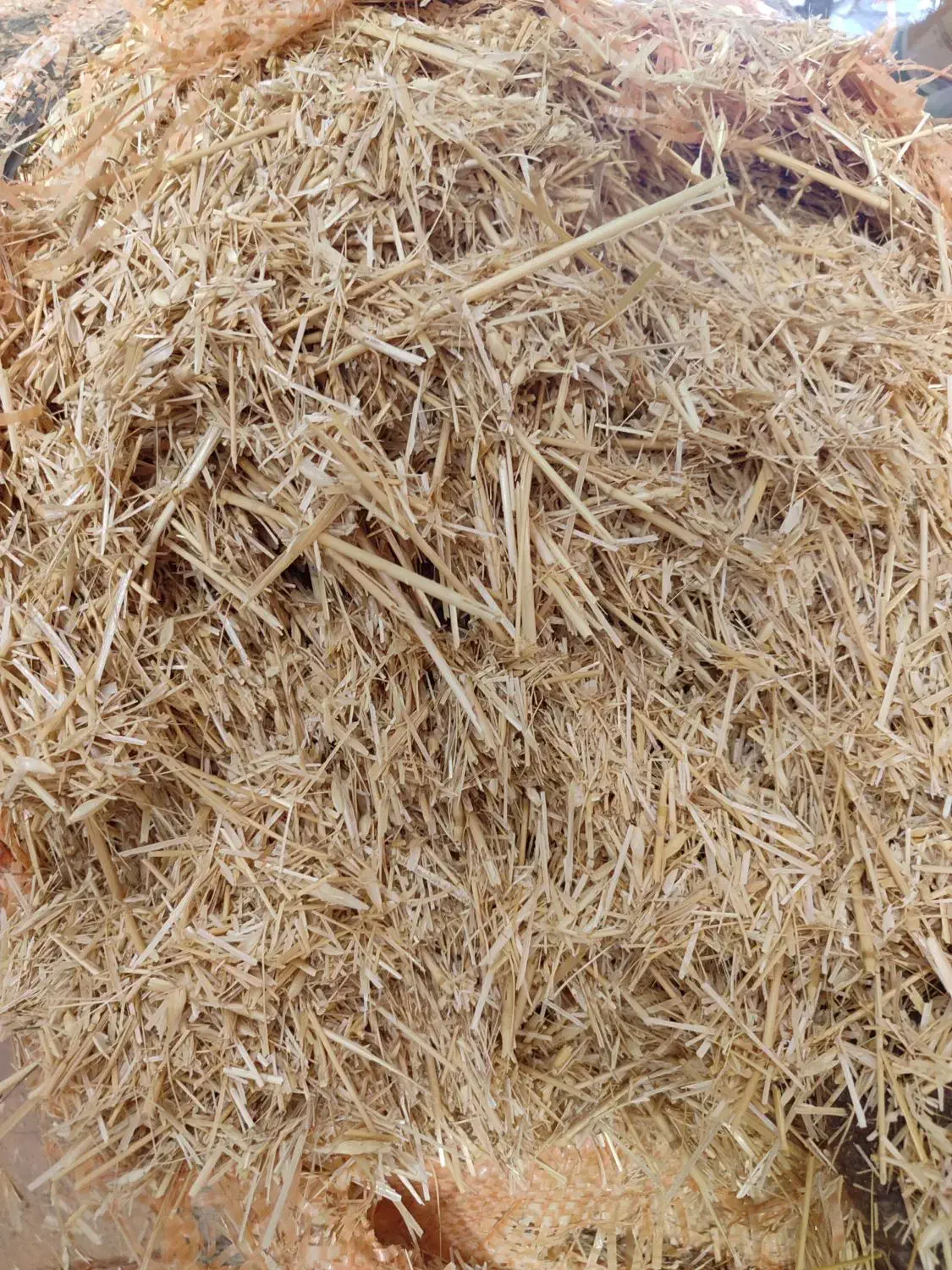 کاه فروش|عمدهفروشی|زاگرس, |دیوار