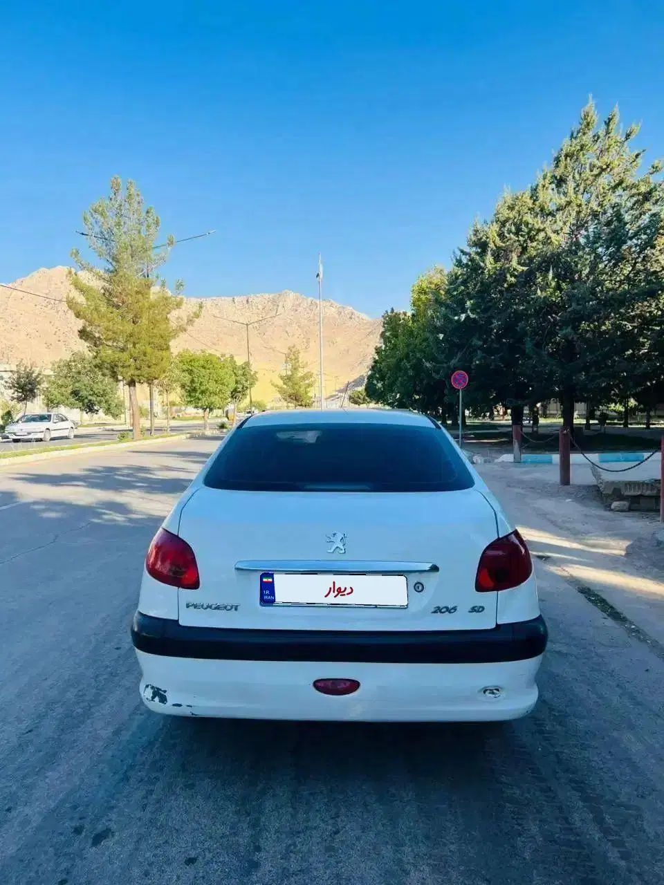 206 sd v8|خودرو سواری و وانت|کرمانشاه, |دیوار