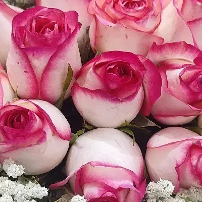 کارگاه های رایگان|گردهمایی و همایش|قم, زنبیل آباد|دیوار