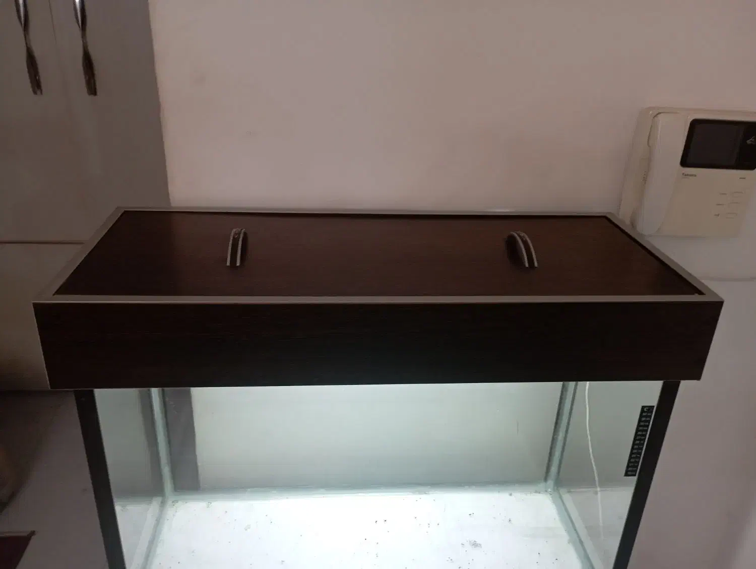 آکواریوم|ماهی|محمدیه-قزوین, |دیوار