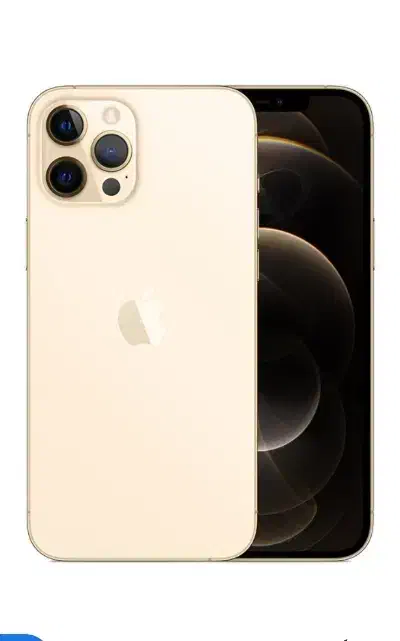 گمشده ایفون۱۱ پرو مکس گلد|موبایل|تبریز, |دیوار