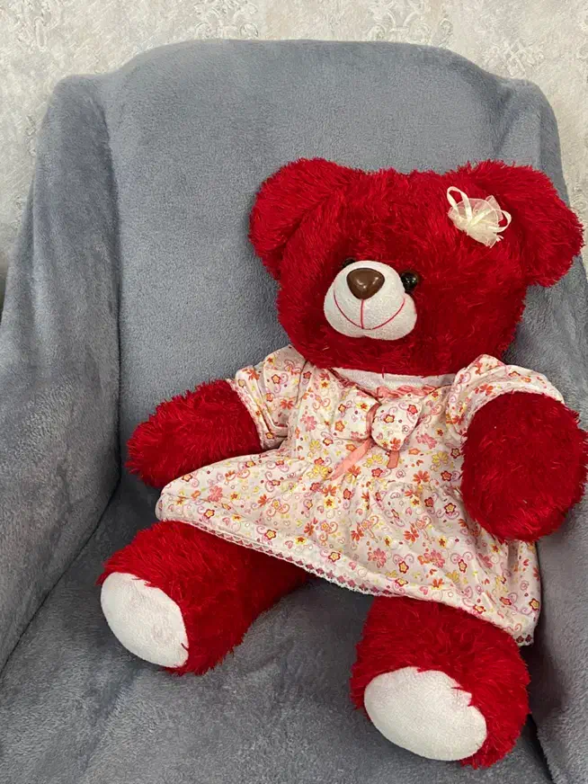 عروسک خرس خوشگل|اسباب‌بازی بچه|سهند, |دیوار