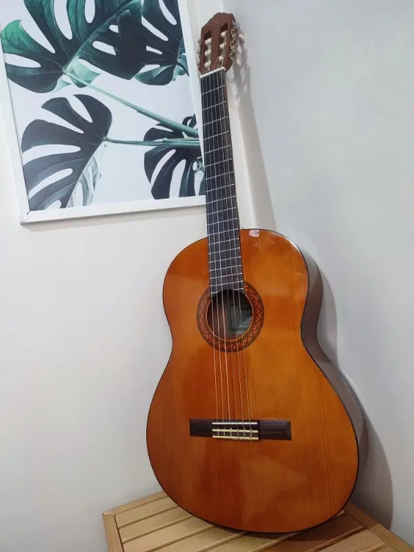 Yamaha C40 original|گیتار، بیس، امپلیفایر|تهران, هاشم‌آباد|دیوار