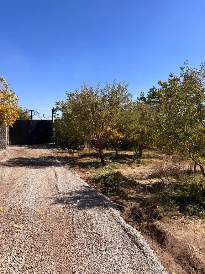 باغچه ۵۰۰ متری دماوند جابان سند تک برگ آب برق گاز|فروش زمین و ملک کلنگی|دماوند, دماوند|دیوار