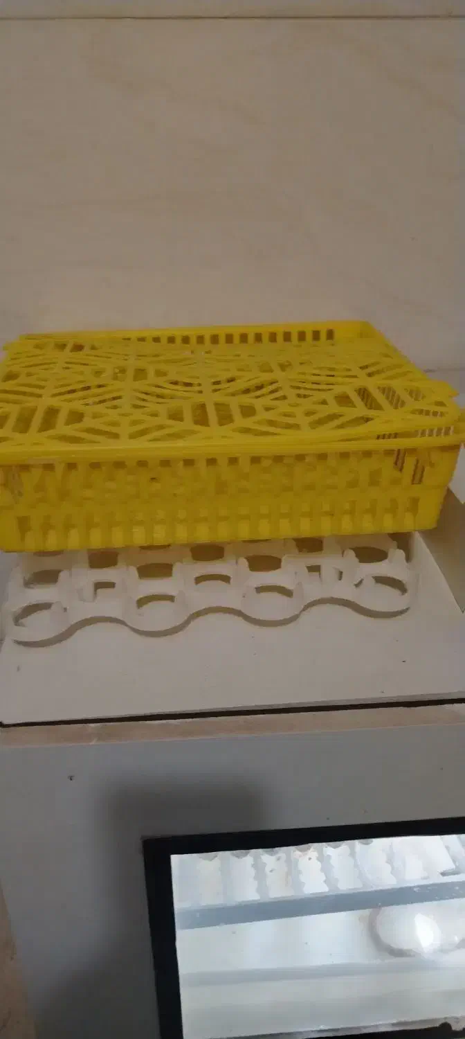 دستگاه جوجه کشی 42 تایی|لوازم جانبی حیوانات|نیشابور, میدان حافظ|دیوار