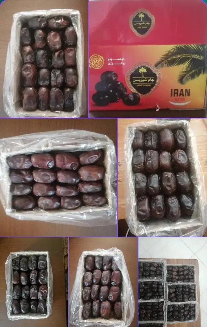 خرما صادراتی|عمدهفروشی|بم, |دیوار