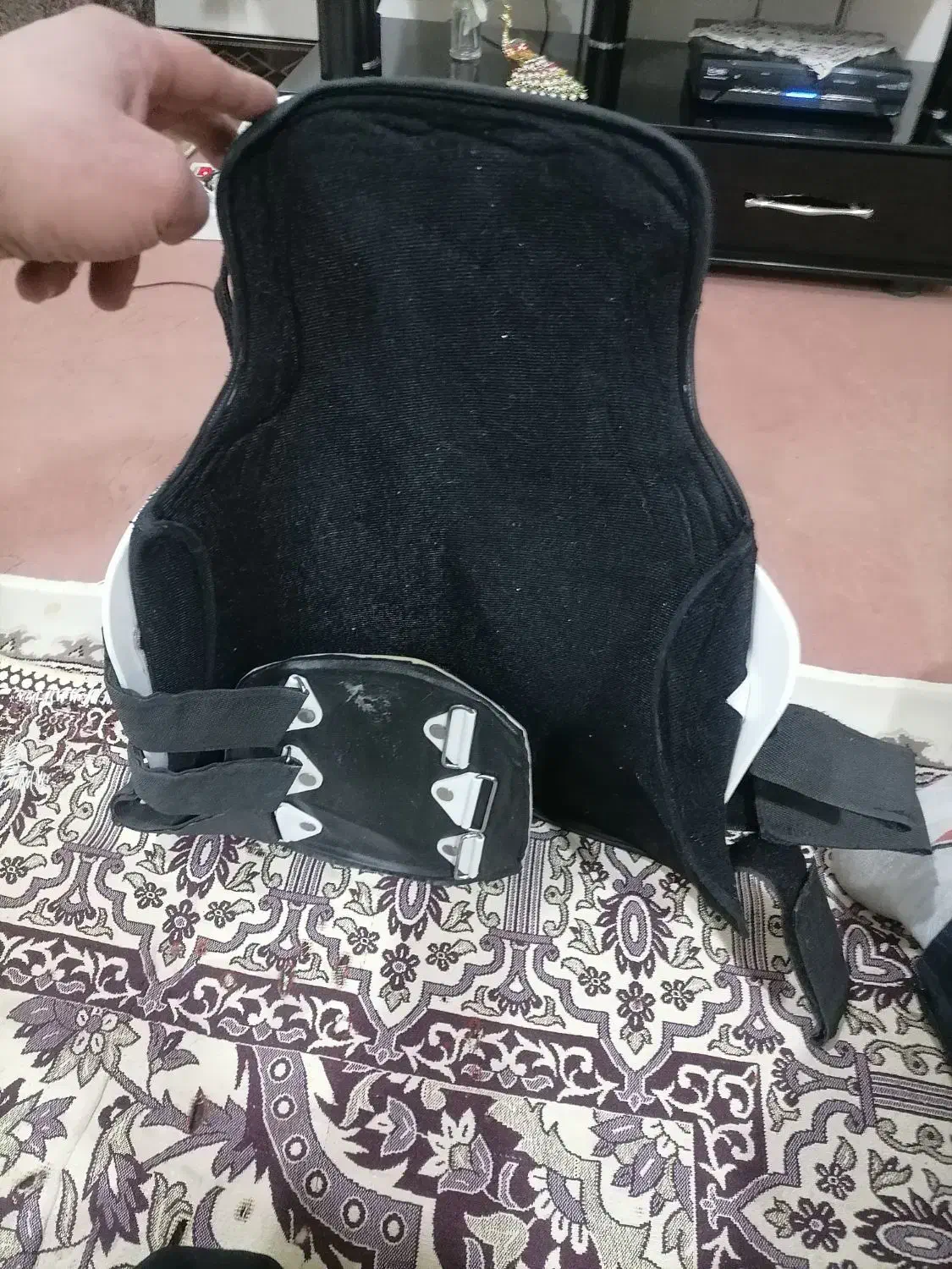 قوزبند|اسب و تجهیزات اسبسواری|اسدآباد, |دیوار