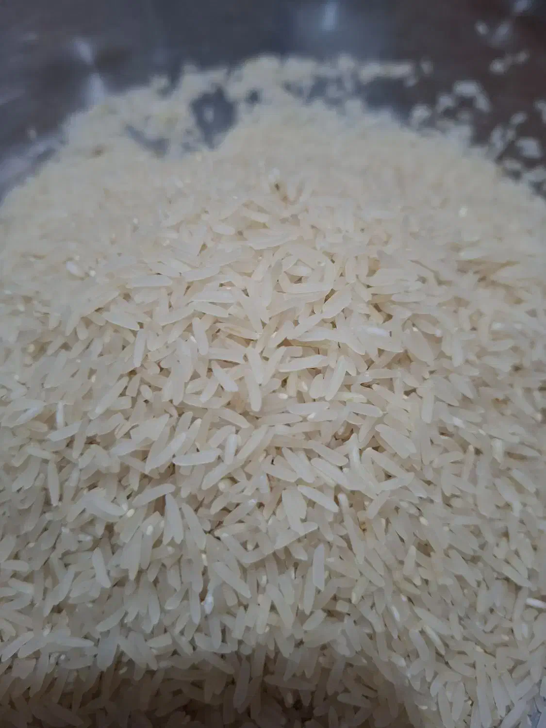 فجر سوزنی درجه یک|عمدهفروشی|فاضل آباد, |دیوار