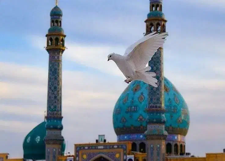 کاروان قم و جمکران سه شنبه ها همراه با شام|تور و چارتر|تهران, شهید رجایی|دیوار