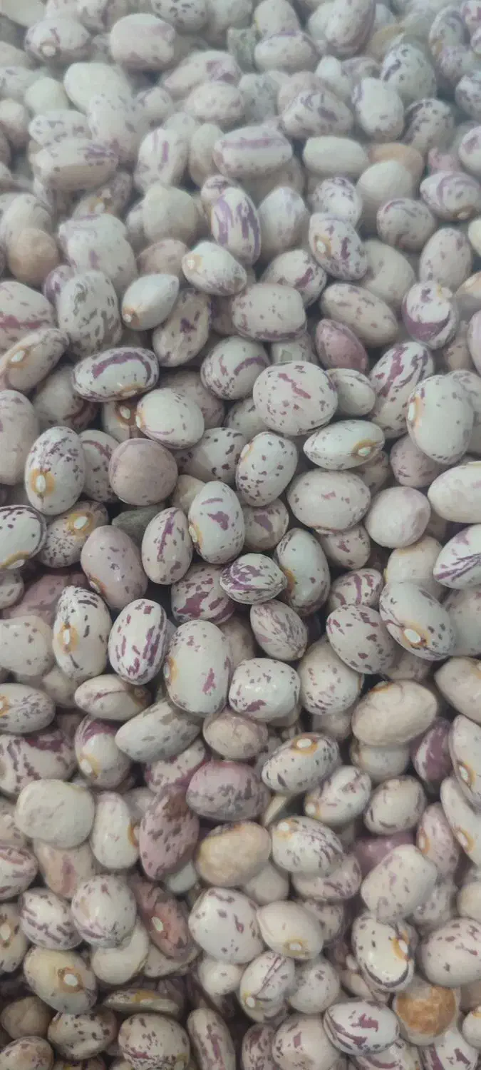 برنج دانه کامل ونیم دانه و حبوبات|خوردنی و آشامیدنی|اهواز, فاز ۱ پادادشهر|دیوار