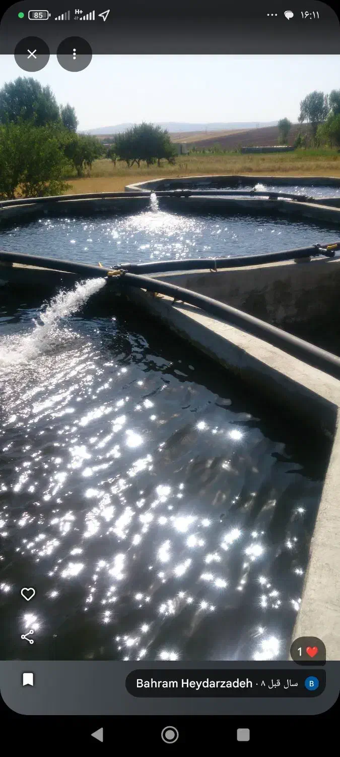 پرورش ماهی ـ باغ|فروش دفتر صنعتی، کشاورزی، تجاری|ورزقان, |دیوار